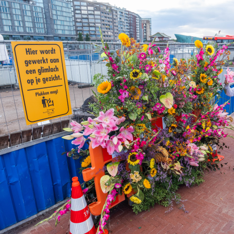 verbloemen